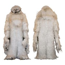 Wampa